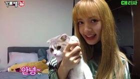 Lisa51吃瓜,揭秘娛樂圈背后的那些事兒