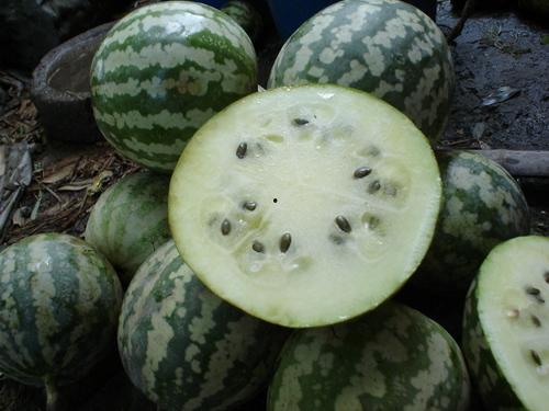 本地小水瓜怎么吃,探索本地小水瓜的多彩食法