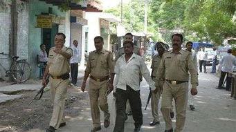 豐縣西城吃瓜事件始末,真相與爭議的漩渦