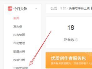 頭條上如何開通店鋪功能,輕松開啟電商之旅