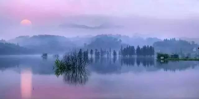 吃瓜江山如畫,一場視覺與味蕾的雙重盛宴