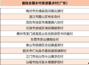 廣東農村爆料新聞報道,揭開鄉村發展背后的真實故事