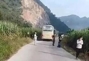 廣西新聞頭條百色那坡,探尋廣西邊陲的美麗與活力