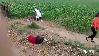 石家莊爆料藁城事件視頻