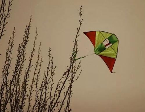 網紅風箏斷了線福利,空中奇遇記